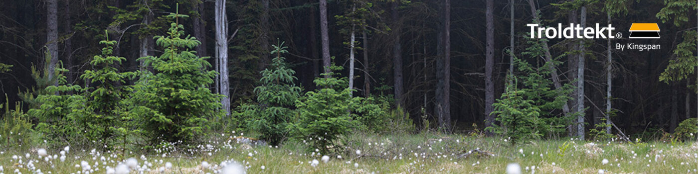 Bild-Wald-Troldtekt