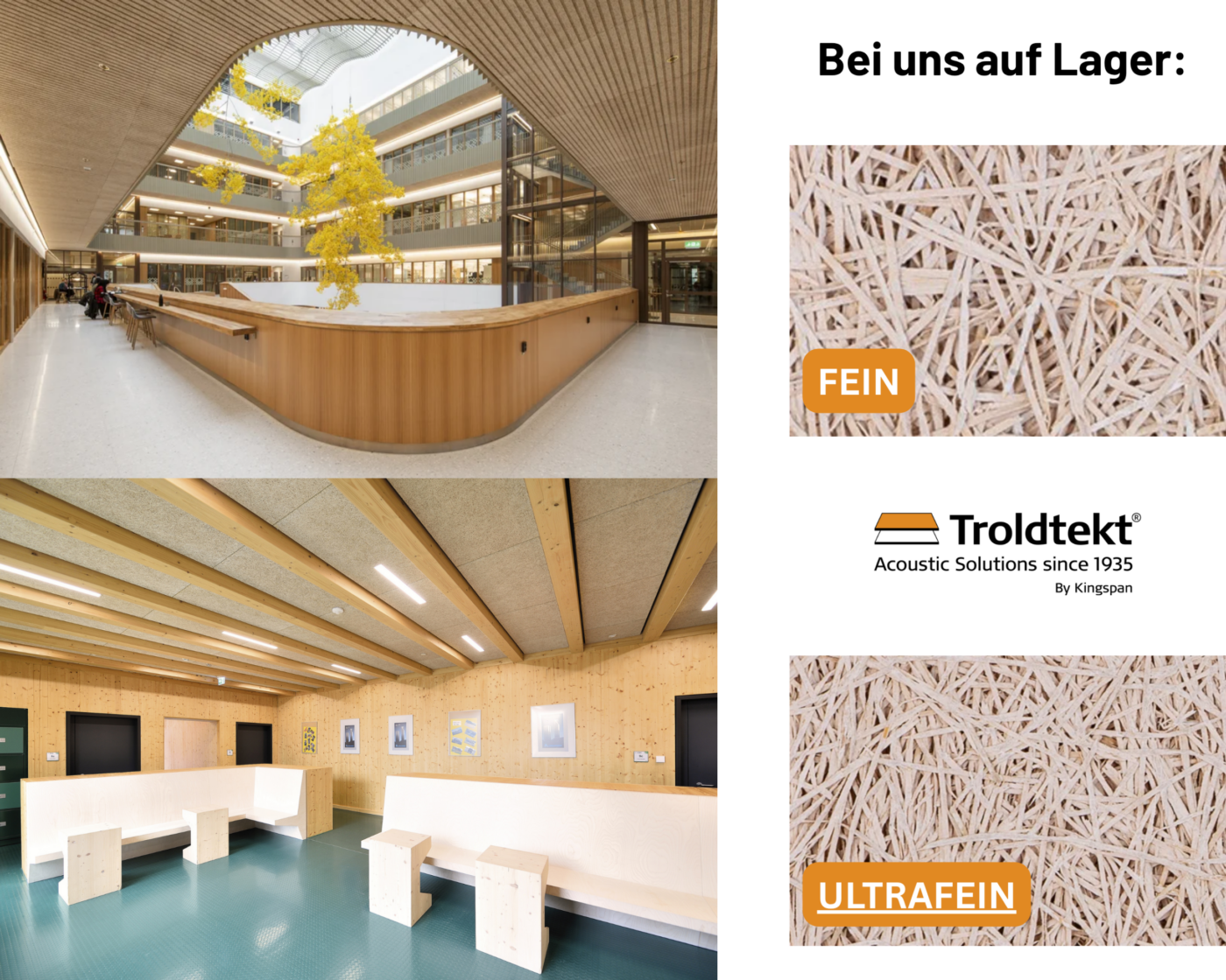Newsletter (8)